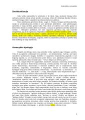 Asmenybės savianalizė 4 puslapis