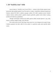 Ilgalaikio turto lizingo auditas: AB "Anykščių vynas" 2 puslapis