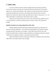 Ilgalaikio turto lizingo auditas: AB "Anykščių vynas" 11 puslapis