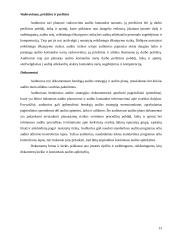 Ilgalaikio turto lizingo auditas: AB "Anykščių vynas" 13 puslapis