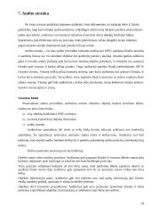 Ilgalaikio turto lizingo auditas: AB "Anykščių vynas" 14 puslapis