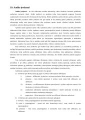 Ilgalaikio turto lizingo auditas: AB "Anykščių vynas" 19 puslapis