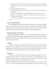 Ilgalaikio turto lizingo auditas: AB "Anykščių vynas" 20 puslapis