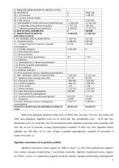 Ilgalaikio turto lizingo auditas: AB "Anykščių vynas" 5 puslapis