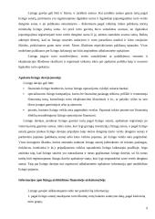 Ilgalaikio turto lizingo auditas: AB "Anykščių vynas" 9 puslapis