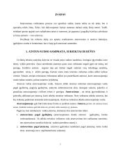 Atstovavimas ir atstovas 2 puslapis