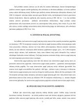 Atstovavimas ir atstovas 12 puslapis