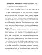 Atstovavimas ir atstovas 3 puslapis