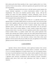 Atstovavimas ir atstovas 6 puslapis