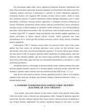 Atstovavimas ir atstovas 8 puslapis