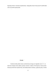 Ilgalaikio turto vertinimas, nusidėvėjimo sumos skaičiavimas 13 puslapis