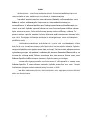 Ilgalaikio turto vertinimas, nusidėvėjimo sumos skaičiavimas 3 puslapis