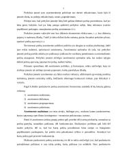 Įmonės asortimento kitimas, struktūra ir veiksniai 5 puslapis