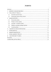 Įmonės steigimas ir aplinkos analizė: žaislų ir karnavalinių kostiumų gamyba UAB "Pūkas" 2 puslapis