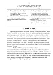 Įmonės steigimas ir aplinkos analizė: žaislų ir karnavalinių kostiumų gamyba UAB "Pūkas" 11 puslapis