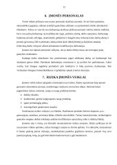 Įmonės steigimas ir aplinkos analizė: žaislų ir karnavalinių kostiumų gamyba UAB "Pūkas" 12 puslapis