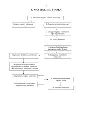Įmonės steigimas ir aplinkos analizė: žaislų ir karnavalinių kostiumų gamyba UAB "Pūkas" 13 puslapis