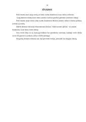 Įmonės steigimas ir aplinkos analizė: žaislų ir karnavalinių kostiumų gamyba UAB "Pūkas" 14 puslapis