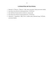 Įmonės steigimas ir aplinkos analizė: žaislų ir karnavalinių kostiumų gamyba UAB "Pūkas" 15 puslapis