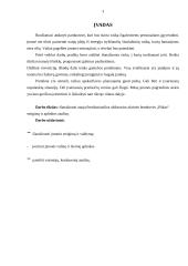 Įmonės steigimas ir aplinkos analizė: žaislų ir karnavalinių kostiumų gamyba UAB "Pūkas" 3 puslapis