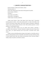 Įmonės steigimas ir aplinkos analizė: žaislų ir karnavalinių kostiumų gamyba UAB "Pūkas" 4 puslapis