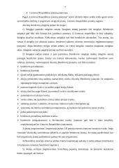 Įmonės steigimas ir aplinkos analizė: žaislų ir karnavalinių kostiumų gamyba UAB "Pūkas" 7 puslapis