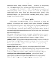 Įmonės steigimas ir aplinkos analizė: žaislų ir karnavalinių kostiumų gamyba UAB "Pūkas" 10 puslapis