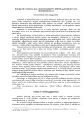 Civilinis ieškinys Baudžiamajame kodekse 3 puslapis