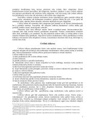 Civilinis ieškinys Baudžiamajame kodekse 6 puslapis
