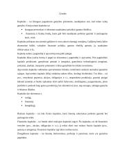 Įmonės turtas, kapitalo taupymas, vertybių nusidėvėjimas 2 puslapis