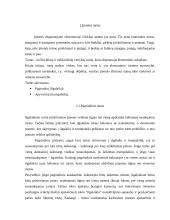 Įmonės turtas, kapitalo taupymas, vertybių nusidėvėjimas 3 puslapis