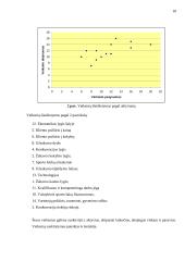 Įmonės veiklos strategijos sudarymas: UAB "Ivega" ir Ko 13 puslapis