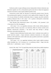 Įmonės veiklos strategijos sudarymas: UAB "Ivega" ir Ko 4 puslapis