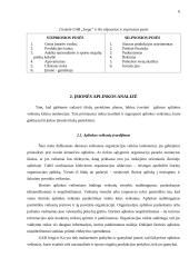 Įmonės veiklos strategijos sudarymas: UAB "Ivega" ir Ko 6 puslapis