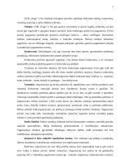 Įmonės veiklos strategijos sudarymas: UAB "Ivega" ir Ko 7 puslapis