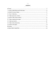 Įmonių auditas 2 puslapis