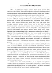 Įmonių auditas 4 puslapis