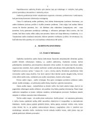 Įmonių auditas 5 puslapis