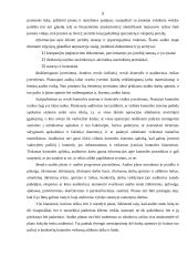 Įmonių auditas 8 puslapis