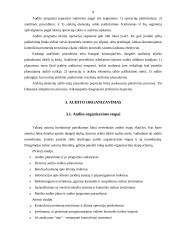 Įmonių auditas 9 puslapis