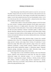 Elektroniniai pinigai 4 puslapis