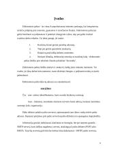 Elektroninio pašto sistemos ir jų palyginimas 2 puslapis