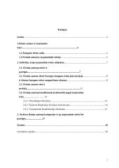 Individo subjektiškumas tarptautinėje teisėje. Niurnbergo teisės ypatumai 2 puslapis