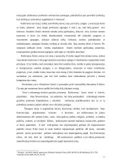 Individo subjektiškumas tarptautinėje teisėje. Niurnbergo teisės ypatumai 11 puslapis