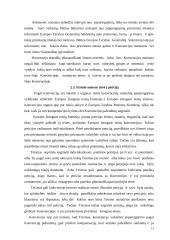 Individo subjektiškumas tarptautinėje teisėje. Niurnbergo teisės ypatumai 12 puslapis