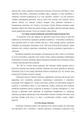 Individo subjektiškumas tarptautinėje teisėje. Niurnbergo teisės ypatumai 13 puslapis