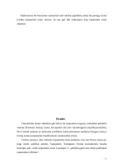 Individo subjektiškumas tarptautinėje teisėje. Niurnbergo teisės ypatumai 17 puslapis