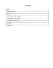 Individuali (personalinė) įmonė