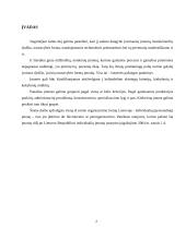 Individuali (personalinė) įmonė 2 puslapis