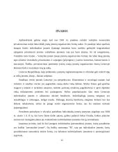 Individuali (personalinė) įmonė 12 puslapis